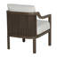Samara Cushioned Dining Chair