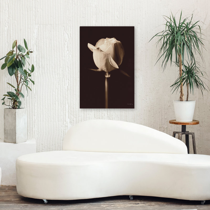 Rose moderne et contemporaine, H 36 po x l 24 po