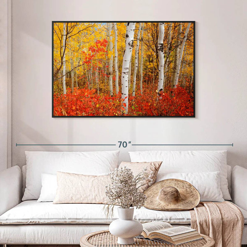 Bouleaux d'automne, 46 po x 31 po, Cadre flottant noir