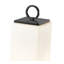 Luminaire d'extérieur 3 lumières Ahmauri-655032497