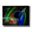 «Epoud Graffiti» «The Proud One» par Carol Cavalaris, art mural sur toile, 54 po x 40 po