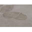 Hand-Knotted High-Quality Gray Area Rug