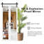 Porte de grange pliante 84 po en verre miroitant 1-Lite 84 po avec quincaillerie d'installation-115223942
