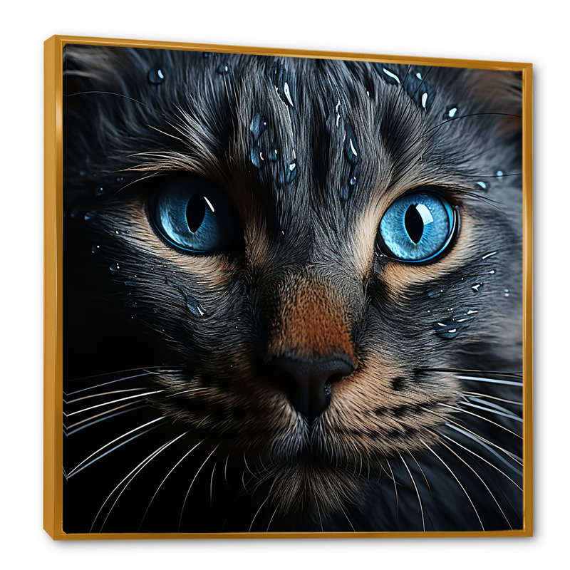 Chat, yeux bleus, chat, H 30 po x l 30 po x P 1 po, Cadre flottant doré