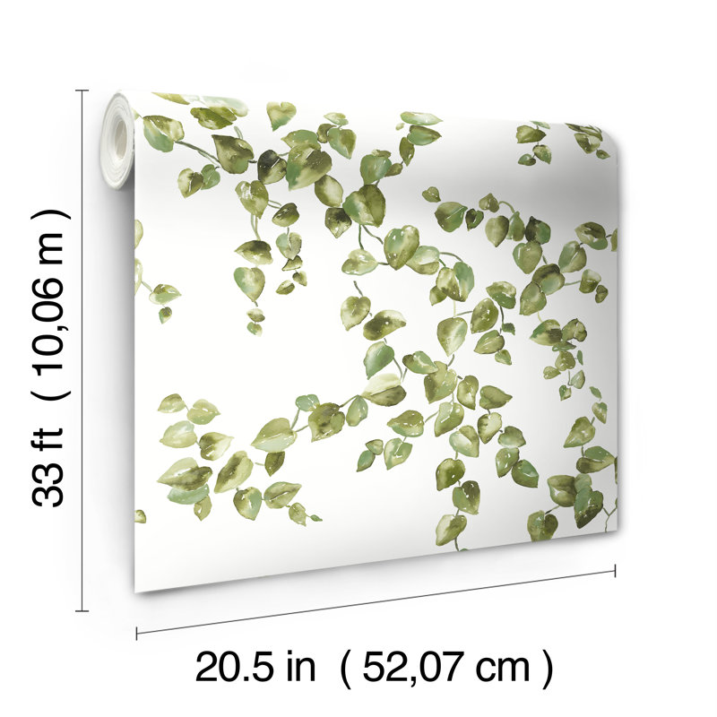 Rouleau de papier peint à motif de vigne rampante L 2,75 pi x l 20,5 po, Vert
