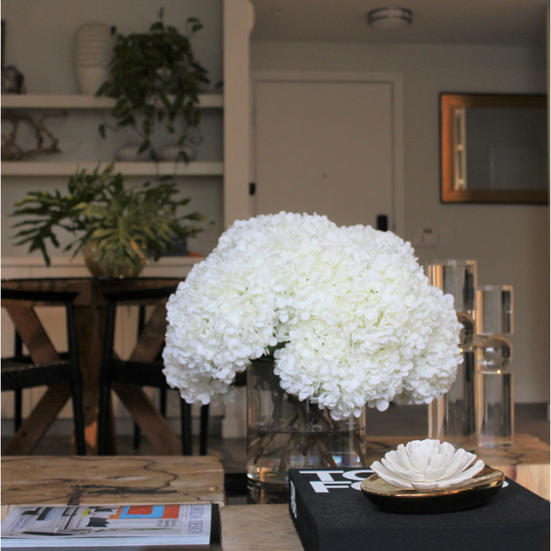 White Hydrangeas In Clear Glass Cylinder Vase, White, 16" H x 18" W x 18" D