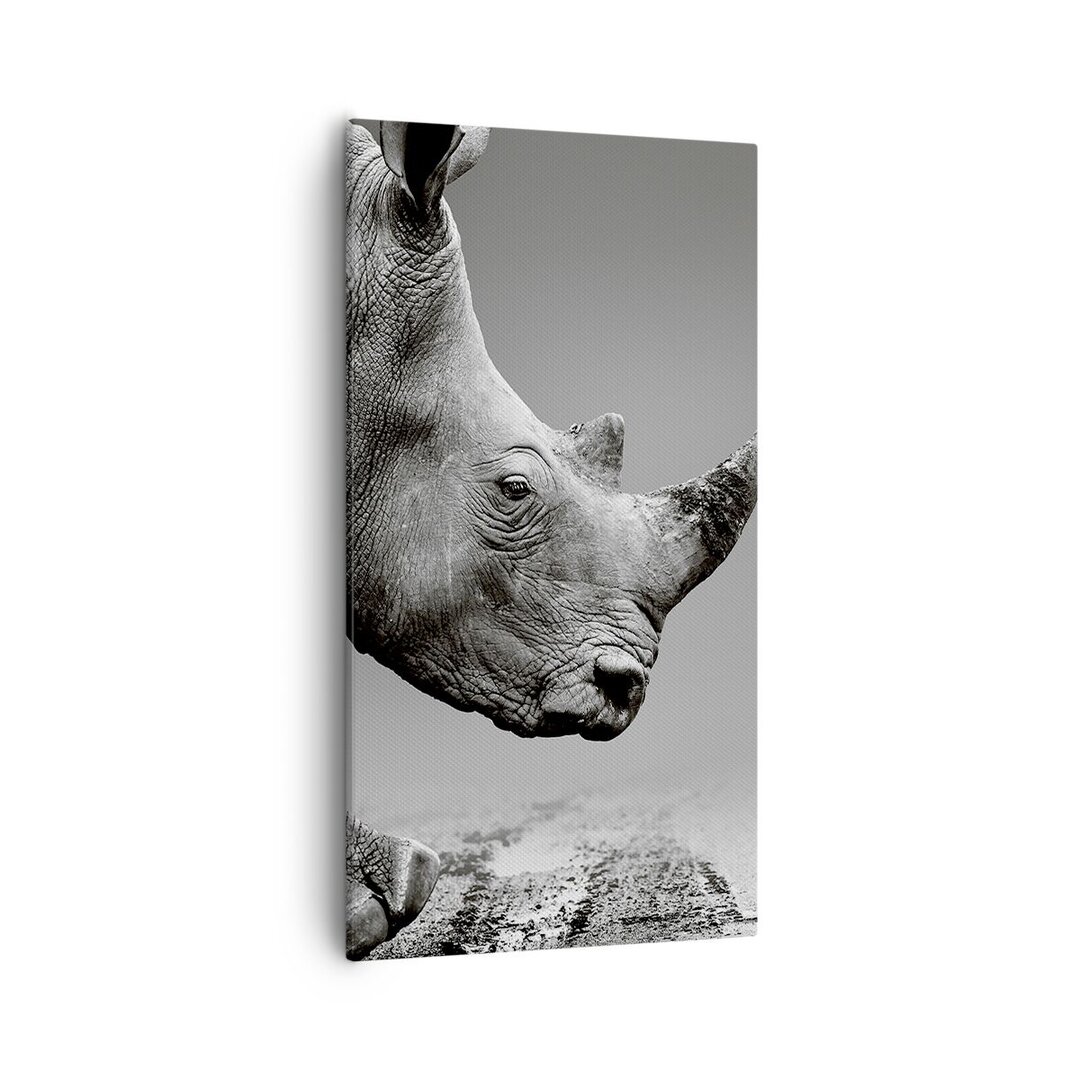 Leinwandbild Rhinoceros Monochrome Animal