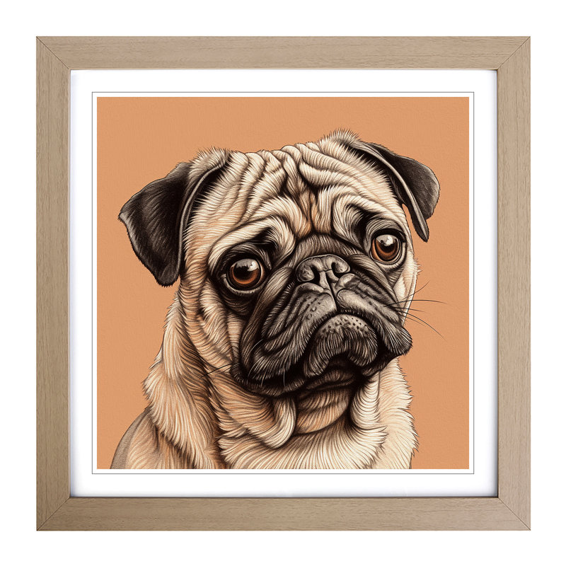 Pug Drawing No.1 - Single Picture Frame Print on Wood, Oak