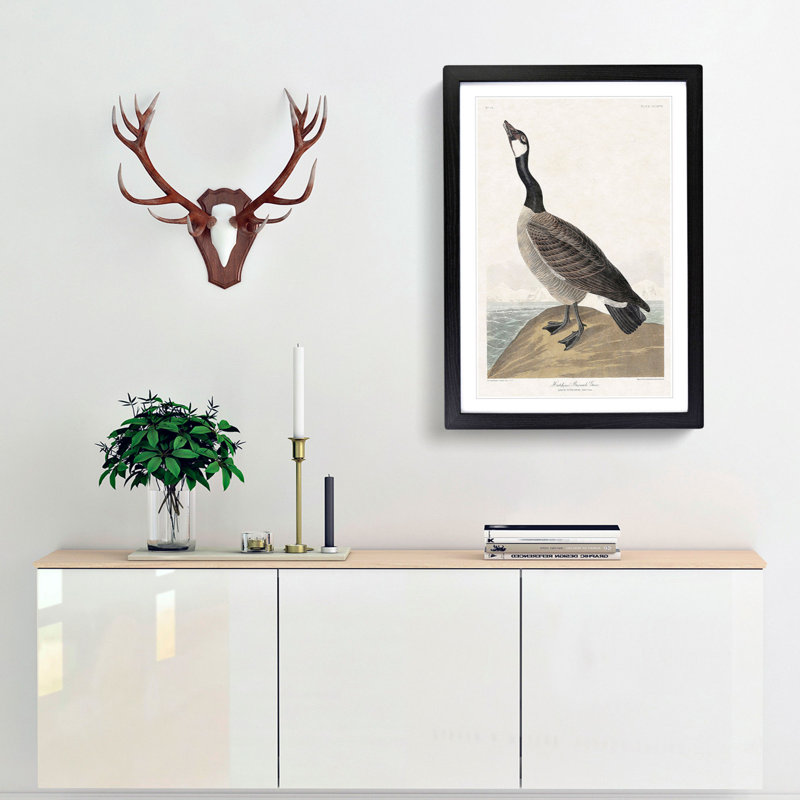 Hutchins Barnacle Goose by John Audubon - Picture Frame Painting Print, 48cm H x 36cm W x 2cm D, Black Framed