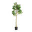 158cm Faux Bonsai Tree in Pot