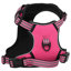 Pet Carrier-644978351