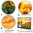 Sunflowers Burning Sunset - Sunflowers Framed Prints-97089659-97089656