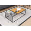 Glorias Coffee Table