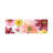Pop Of Pink II by Carol Robinson - Panoramic Painting on Canvas-1268266645-1268266650