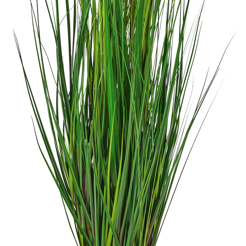 Herbe 60 po, 60 in x 14 in
