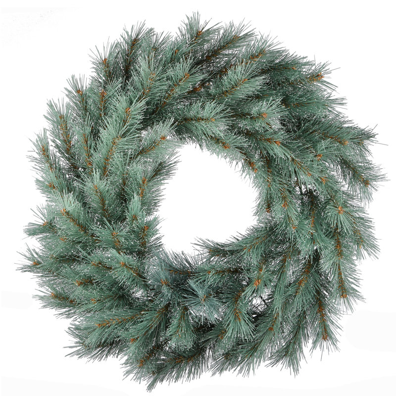 Couronne de pin bleu givré 24 po 24 po