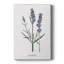 Lavande - Cavas Gallery sur mesure-765693044