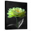 Vert, noir, jardin, glamour, souci, art mural-110988566-110988783
