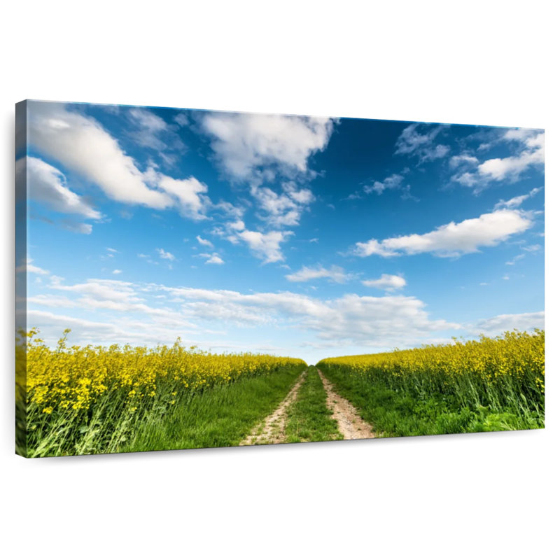 Alvord Flower Field Path