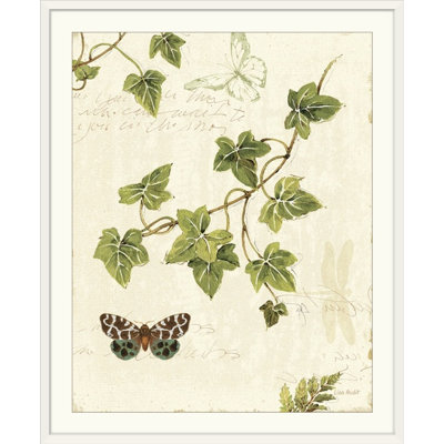 «Ivies and Ferns II» par Lisa Audit, impression