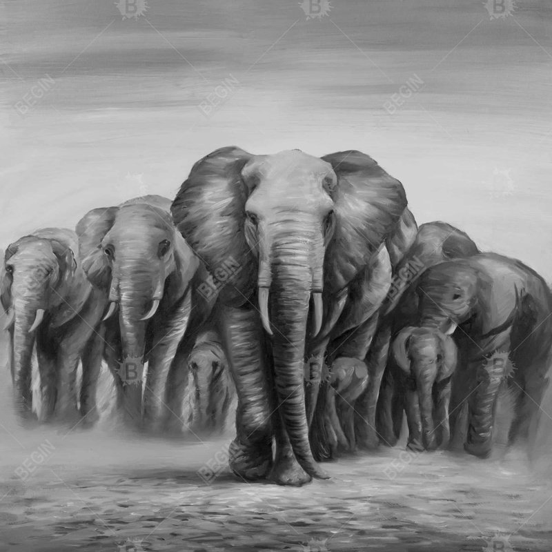 «Troupeau d'éléphants»
