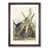 Walnut Framed selected
