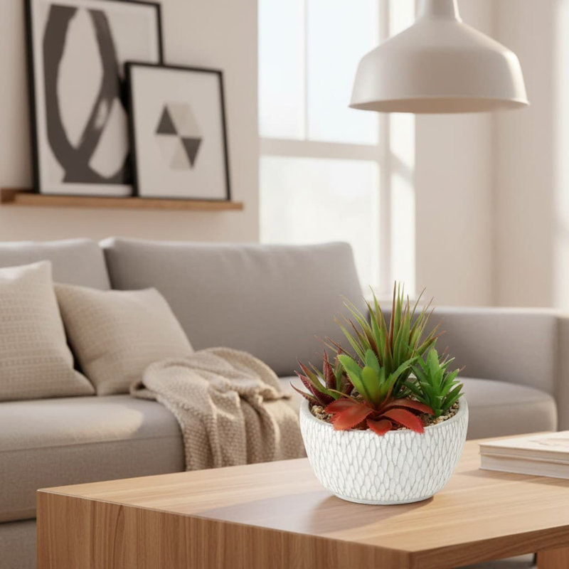 16cm Plant