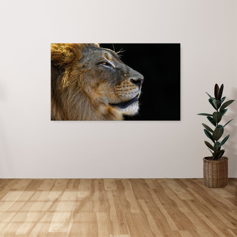 "Le roi" par Danita Delimont, reproduction sur toile, H 36 po x l 60 po x P 1,5 po