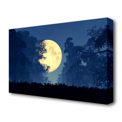 Stunning Midnight Moon Through the Trees Forest - Wrapped Canvas Photograph Print