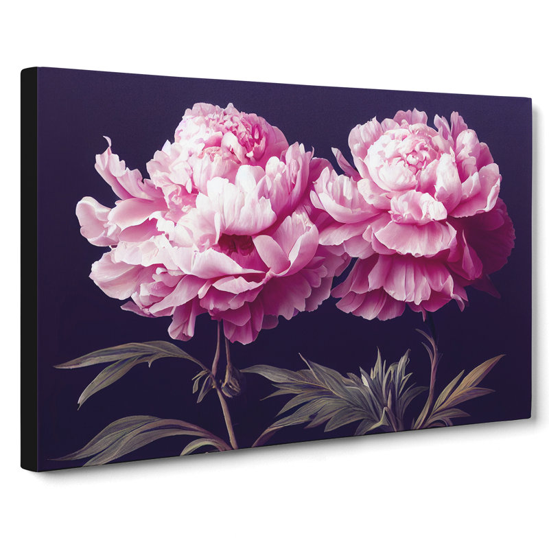Splendorous Peony Flowers - Wrapped Canvas, 35cm H x 50cm W