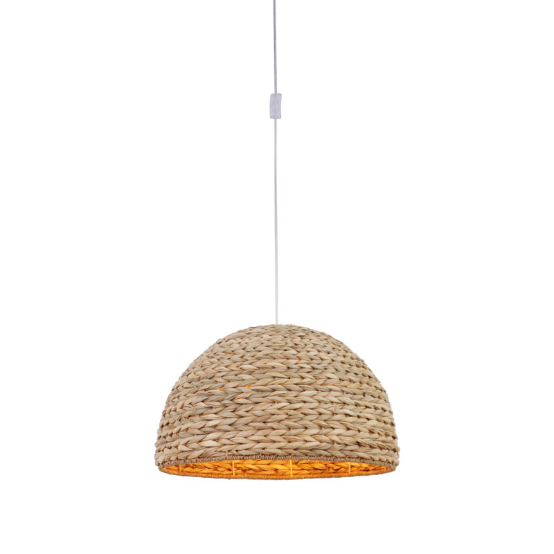 Luminaire suspendu en forme de dôme à 1 lumière Swag Pendant