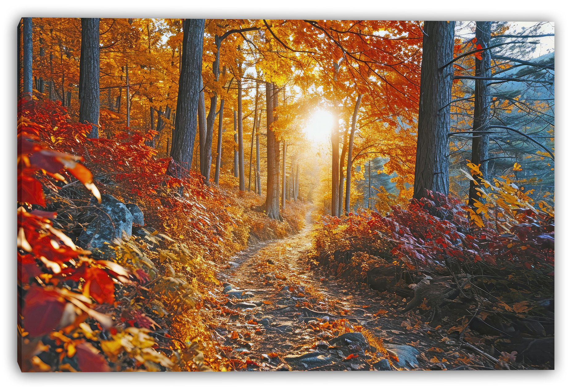 Union Rustic Sunlit Forest Trail Wrapped Canvas Wall Art | Wayfair