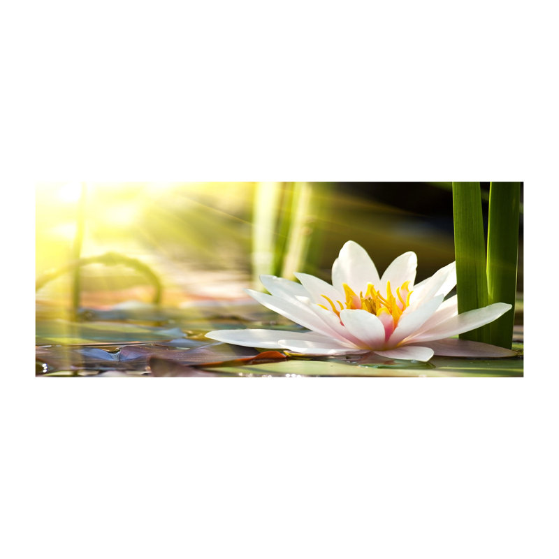 Water Lily - No Frame Print on Canvas