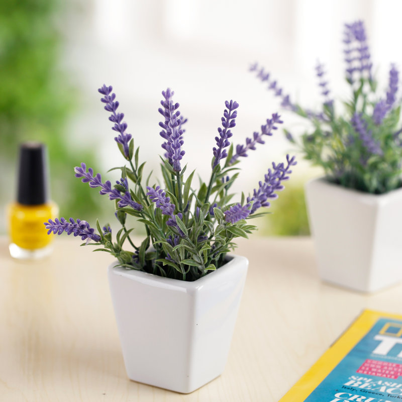 Kessinger Lavender Arrangement in Pot