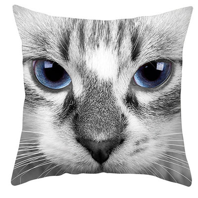Animal Print Pillow Cover