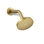 Elate Single-Function Showerhead, 1.75 Gpm