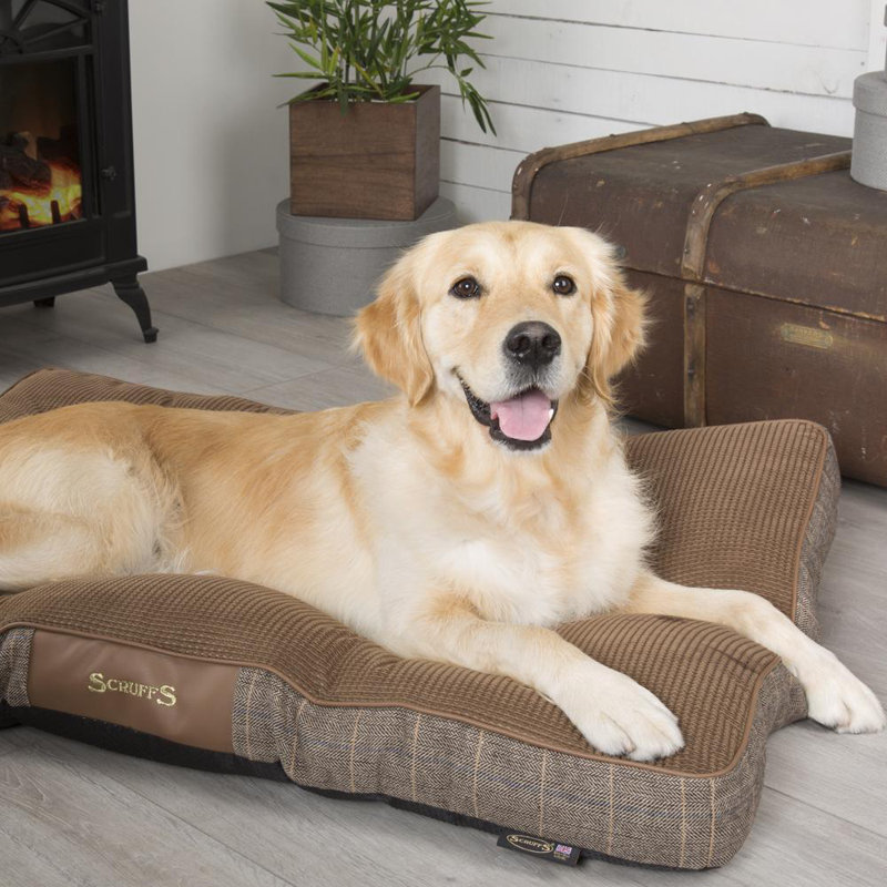 Windsor Polyester Pet Bed, Chestnut/Grey