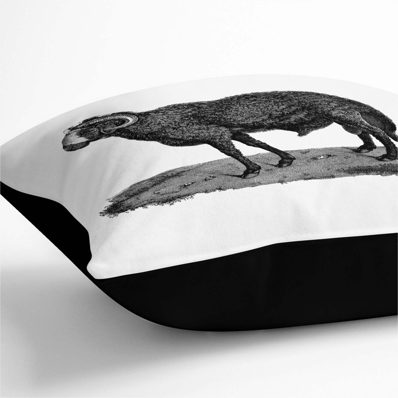 Square Throw Cushion, Black, 40cm H x 40cm W x 15cm D