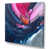 Wrapped Canvas