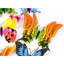Adhésif décoratif 24 pièces 3D Butterfly