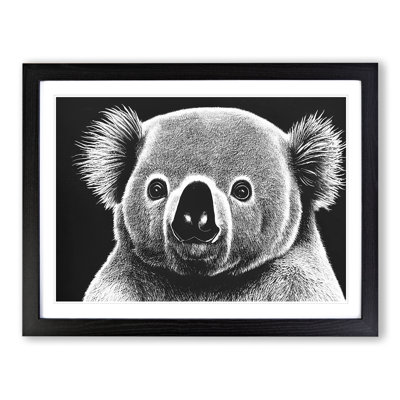 Koala Bear - Single Picture Frame Print