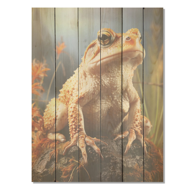 «Classic Frog Portrait - Frogs & Toads», art mural sur bois de pin naturel, H 40 po x l 30 po