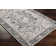 Haughton Machine Washable Oriental Black/Taupe Area Rug