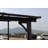 10' X 10' Outdoor Pergola Gazebo-1548286416