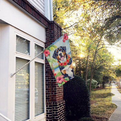 Double Sided 40'' H x 28'' W Polyester Animal House Flag