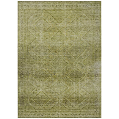 Machine Washable Indoor/Outdoor Xhevrie Aloe Rug
