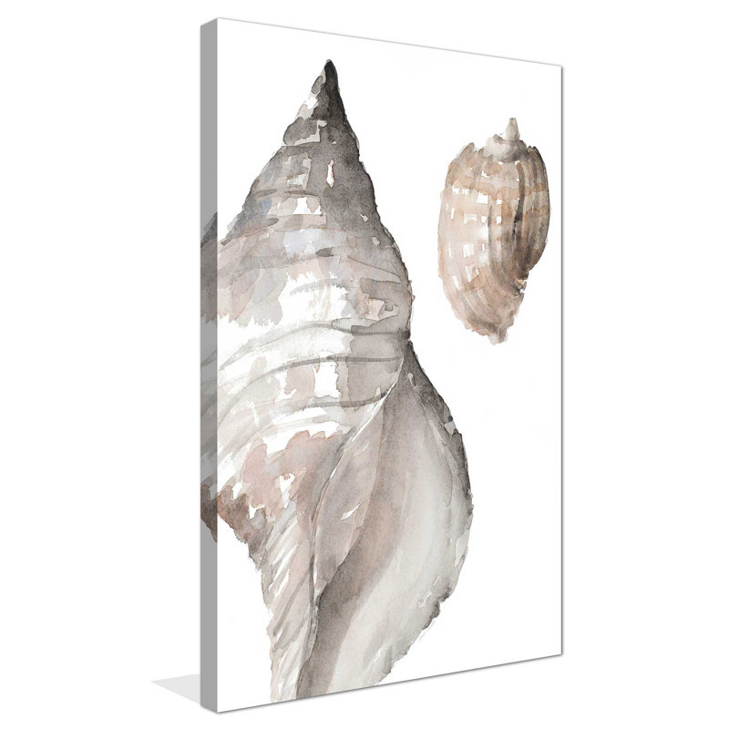 «Tonal Shell I», reproduction de peinture à l'aquarelle, H 30 po x l 18 po x P 1 po, Toile tendue