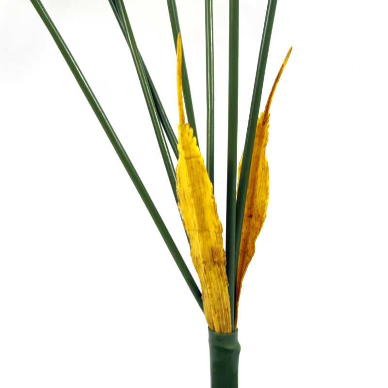 Faux Palm Tree, 75cm H x 50cm W x 50cm D