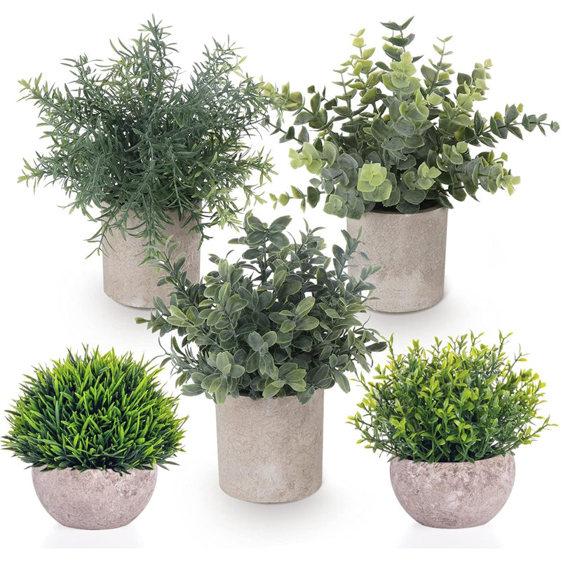 Petites plantes artificielles, paquet de 5, eucalyptus artificiel, mini plante en pot, verdure en plastique, plantes artificielles pour table, salle de bain, cuisine rustique, décor intérieur de ferme