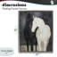 Cadre flottant Equine Twins Of Wind, design par Svetlana Aleynikova-708935372-708935373